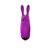Bala Vibradora Lastic Pocket Purpura