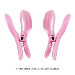 Surprise Box Huevo Vibrador y Pinzas para Pezones con Electro Estimulacion Rosa